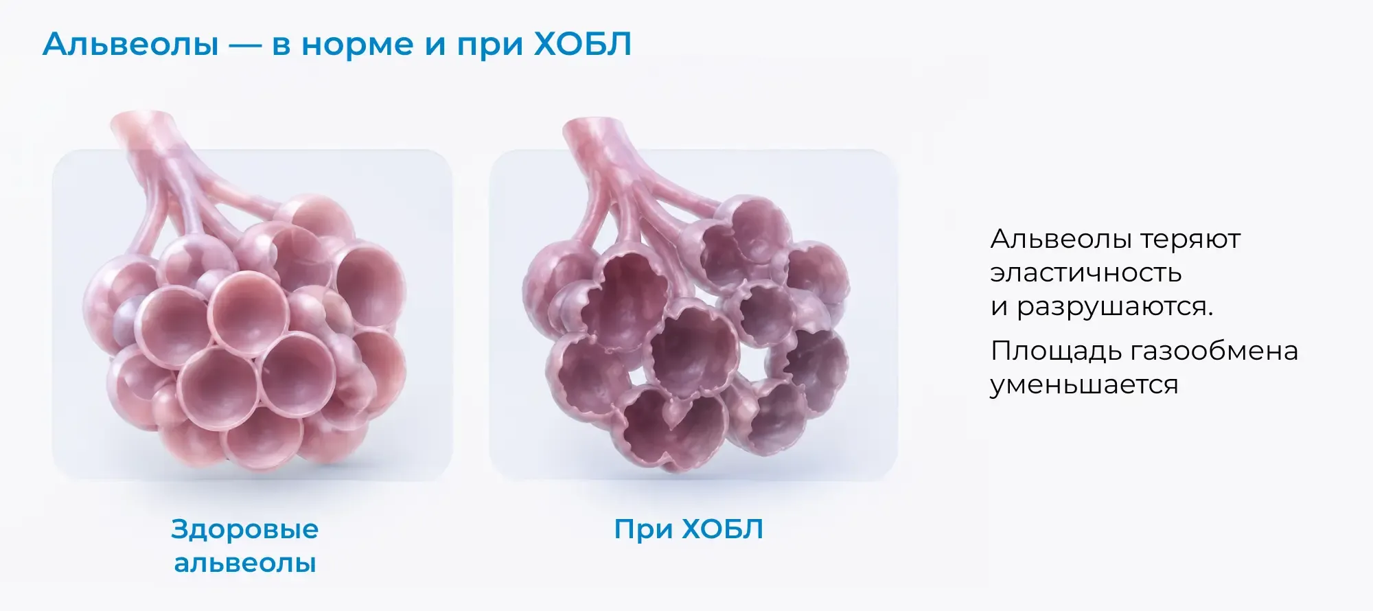 Изображение слайда