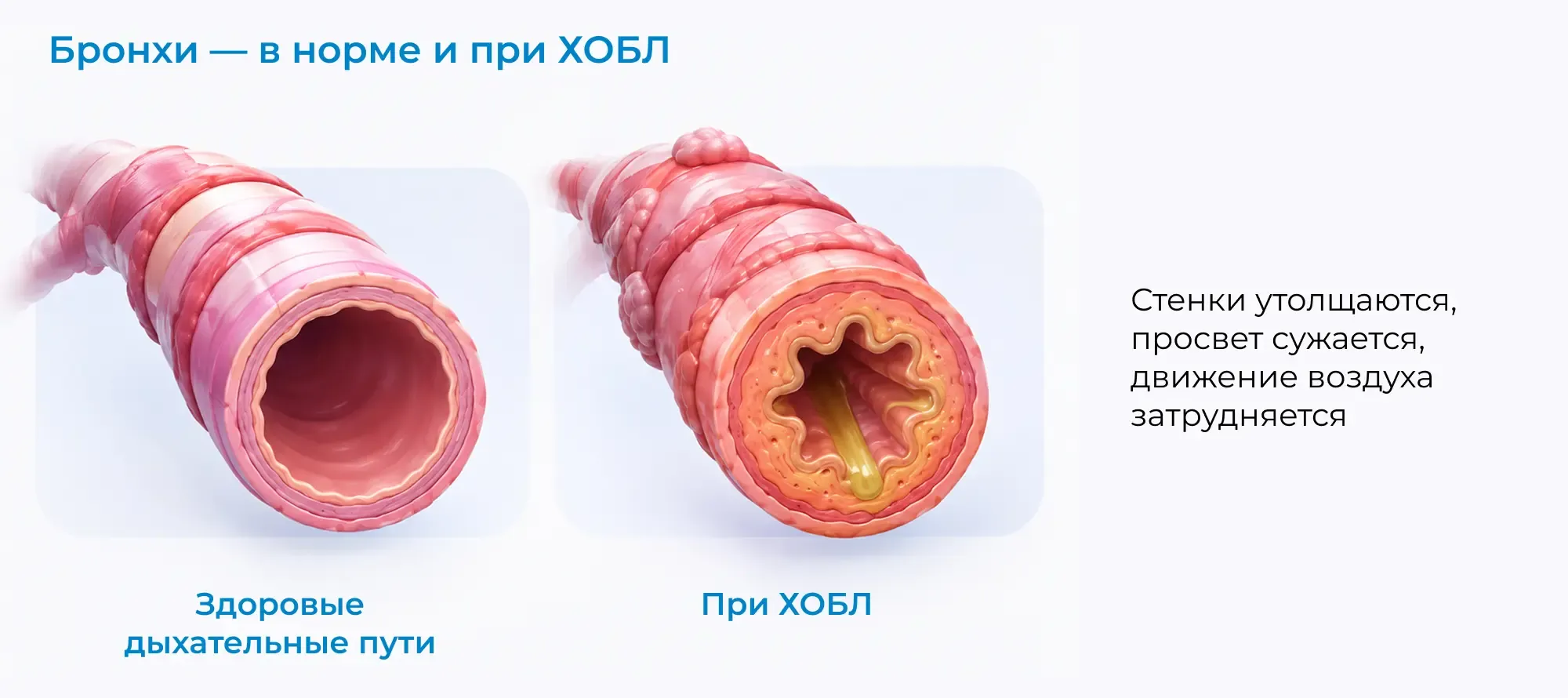 Изображение слайда